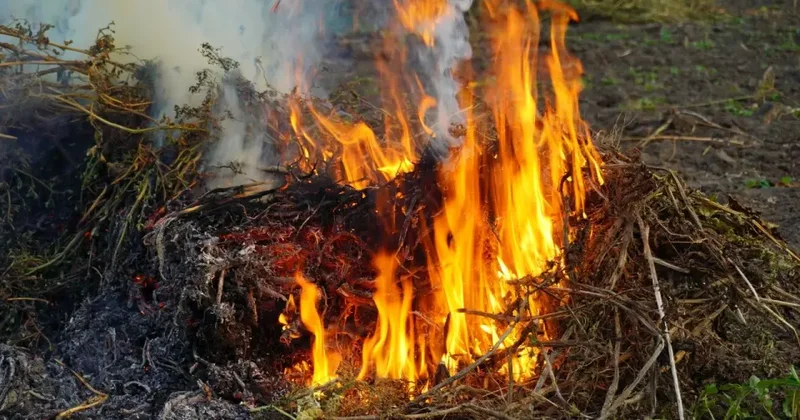 Шымкенттің индустриялық аймағында ірі өрт болды