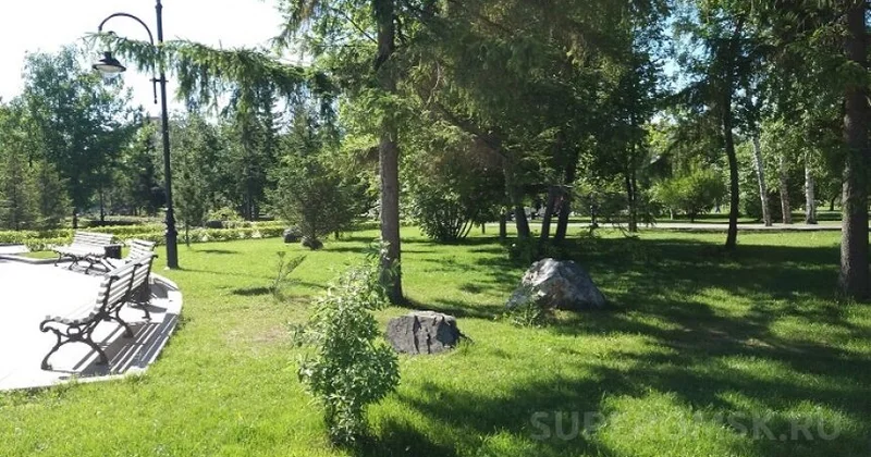 Сквер в центре Омска назовут в честь Токаева