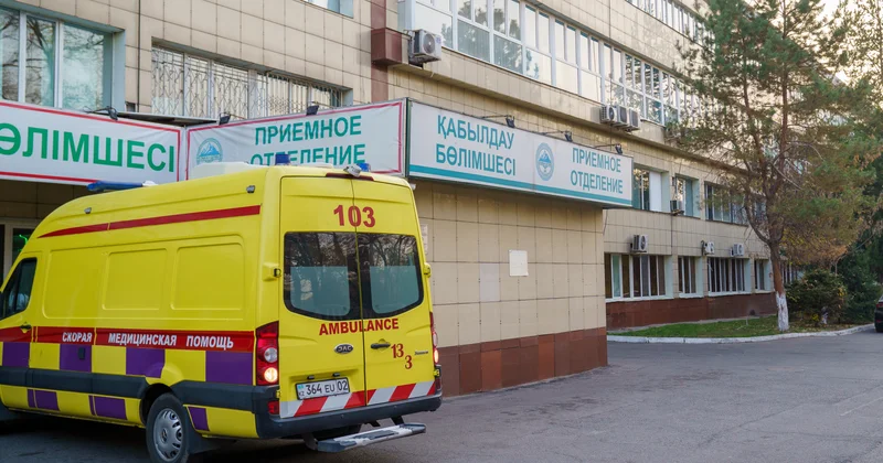 Алматы мен Астана тұрғындары қатты ыстықты қалай өткерді статистика