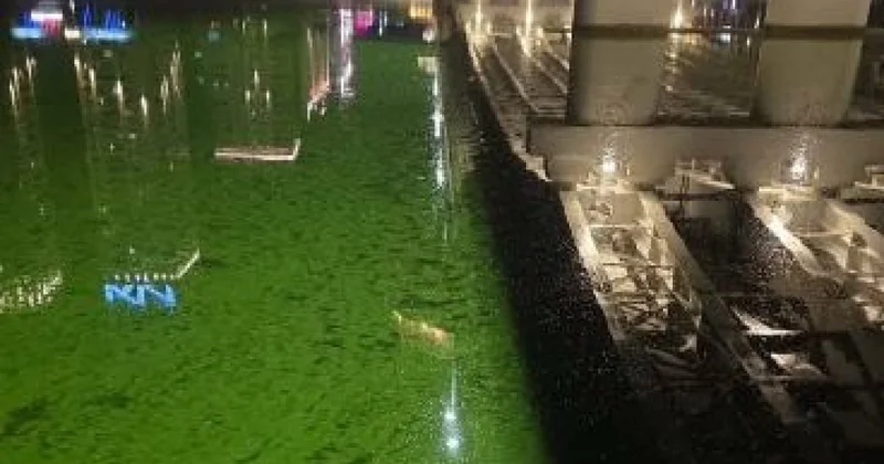 Ядовито зеленая вода в Есиле напугала астанчан