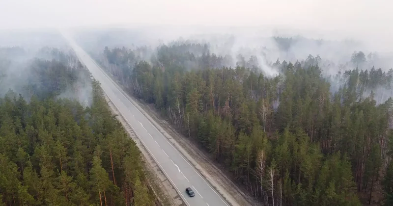 Марқакөл орман шаруашылығындағы табиғи өртті тікұшақпен сөндіріп жатыр