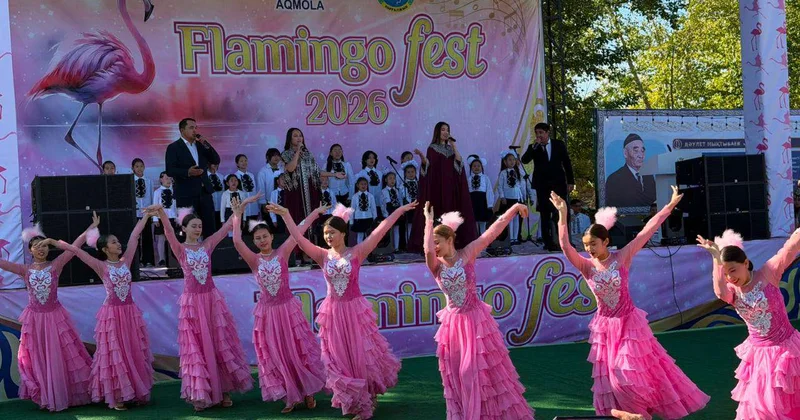 Розовые фламинго и искусство: чем удивит Flamingo Fest в Коргалжыне