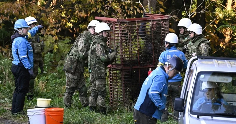 Жапония әскері аюлармен күресуге көмектесіп жатыр