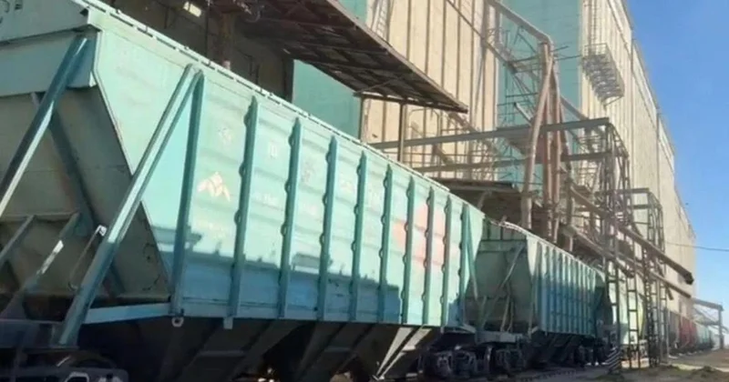 Первую партию казахстанской пшеницы отправили в Армению