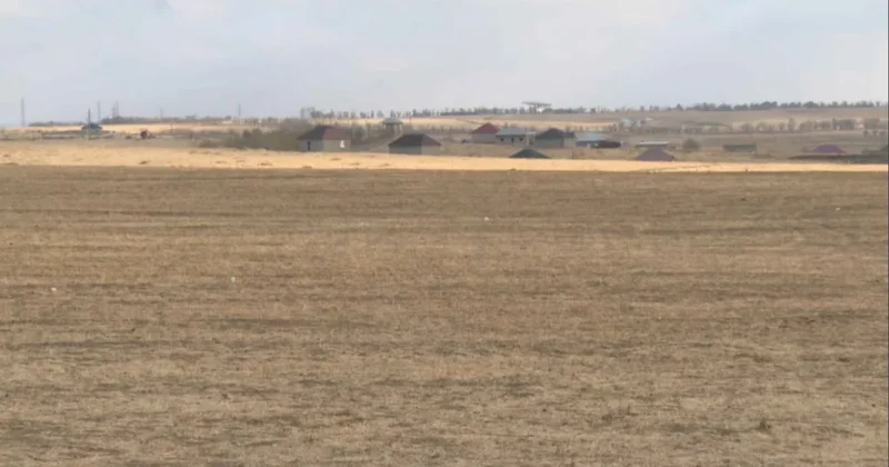 Шымкентте 2314 нысан заңсыз салынған