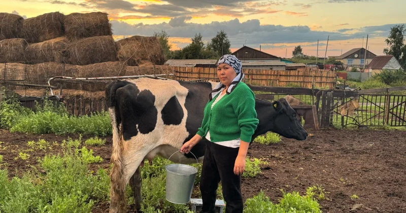 Мал ұстағанның табысы неге мардымсыз?