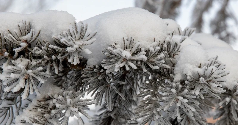 Метели, снег и гололед: непогода обрушится на Астану