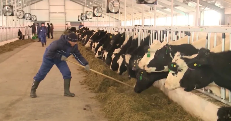 Елімізде кей өнімді экспорттауға тыйым салынды