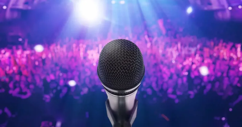 Сенат внёс поправки в закон о запрете фонограмм на концертах и вернул его в мажилис