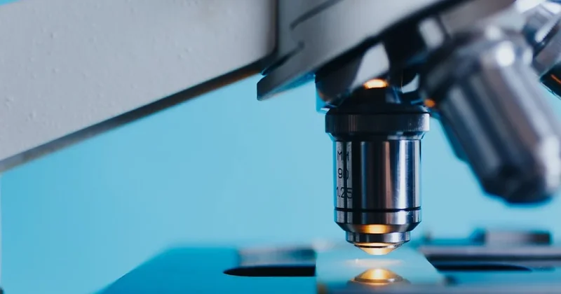 Как институт токалства сделал популярной генетическую экспертизу в Казахстане