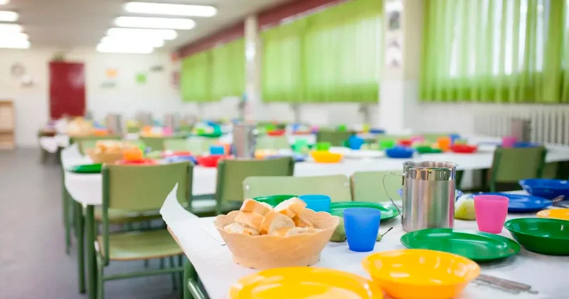 Тараканы в столовой: детсад в Алматы проверят из за видео, появившегося в сети