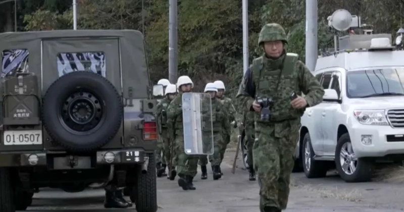 Жапонияда аюлармен күрес күшейді