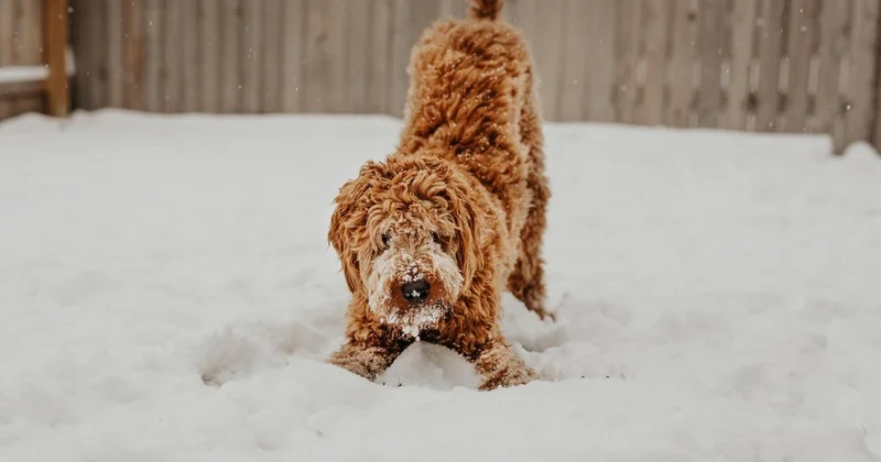 Казахстан накроет снег и гололед: прогноз на 6 ноября