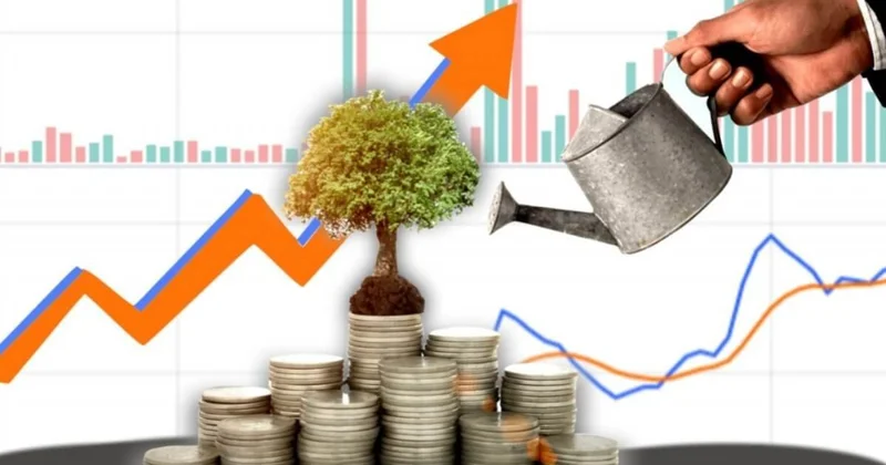 На 44,7% больше, чем в 2024 году: Акмолинская область привлекла 368,8 млрд тенге инвестиций