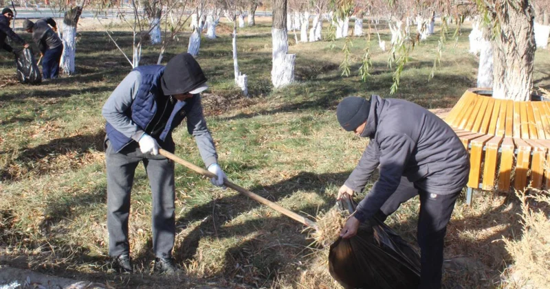 Таза Қазақстан аясындағы нақты іс: өңірлерде AMANAT партиясы экологиялық акцияларды күшейтті