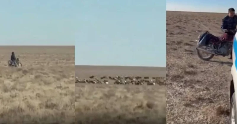 Полицейлер далада малшының мотоциклін алып кетті