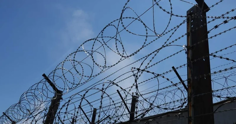 Ұлыбританияда түрмеден екі сотталған қателесіп босатылды