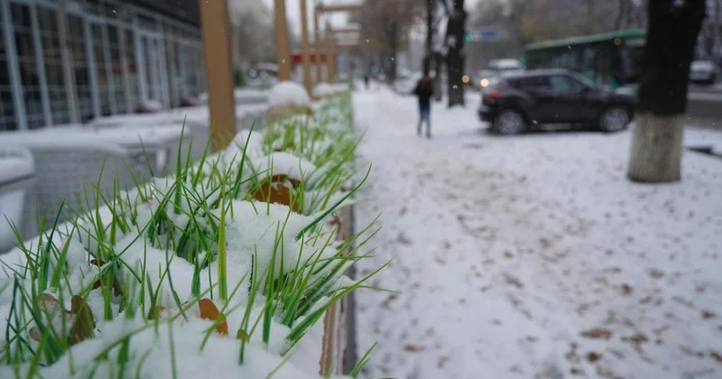 Снег и до 8 градусов обещают в мегаполисах Казахстана в четверг