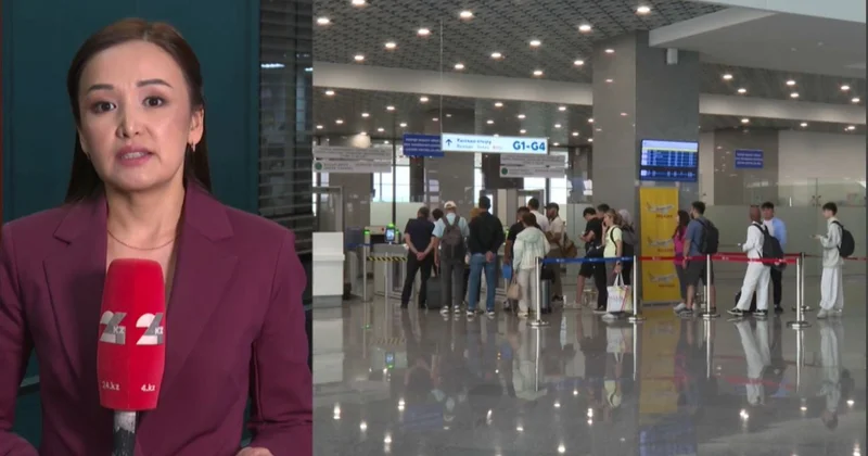 Елде кедендік және логистикалық қызмет көрсететін цифрлық жүйе енгізіледі