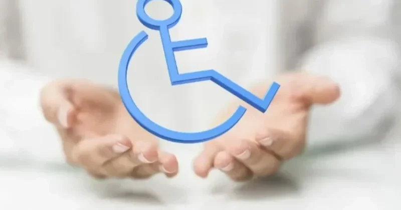 Биыл мүгедектікті белгілеу бойынша сырттай форматта қанша өтінім қаралды?