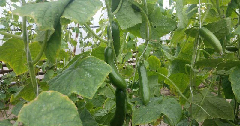 Капля речку сбережет