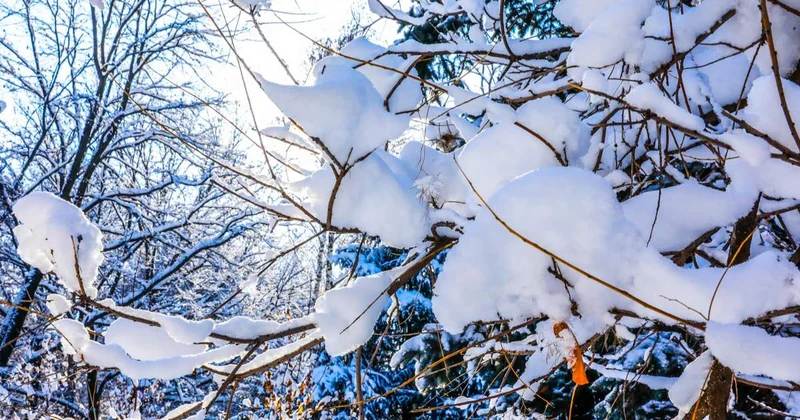 Қазақстанда күн райы күрт суытуы мүмкін ТЖМ