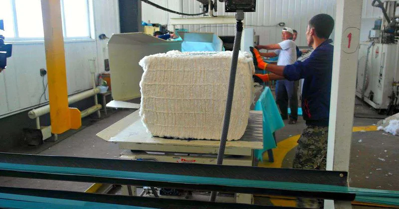 Посеяли хлопок, вырастили… кластер