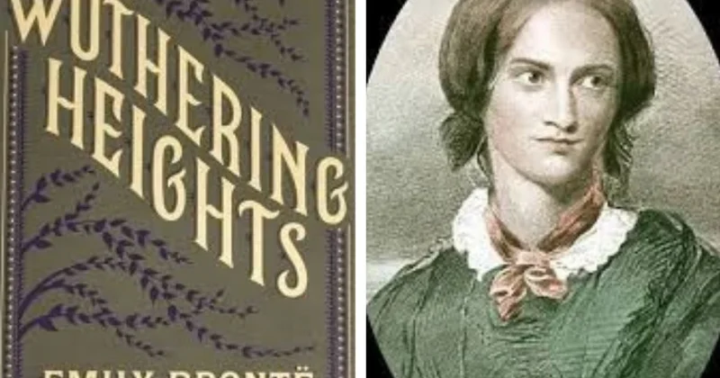 Жалғыз роман жазған жазушы