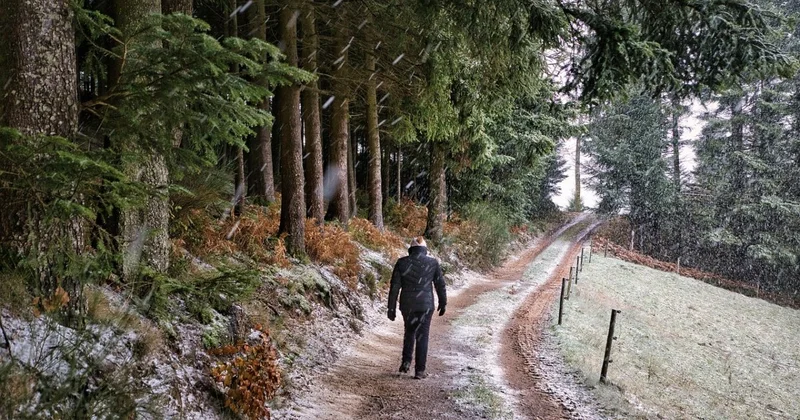 Снег с дождем и резкое похолодание ждут алматинцев