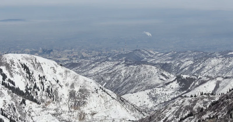 Давайте поставим тысячу башен! Как зелёные предлагают очистить воздух в Алматы
