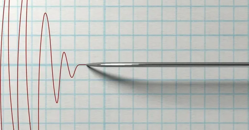 Обстановка стабильная специалисты МЧС провели мониторинг после землетрясения