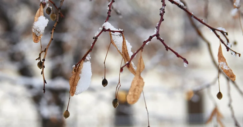 Всё ближе к морозам: прогноз погоды на 6 декабря