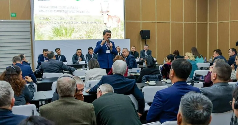 Қазақстан киік мүйізін экспорттайтын болды