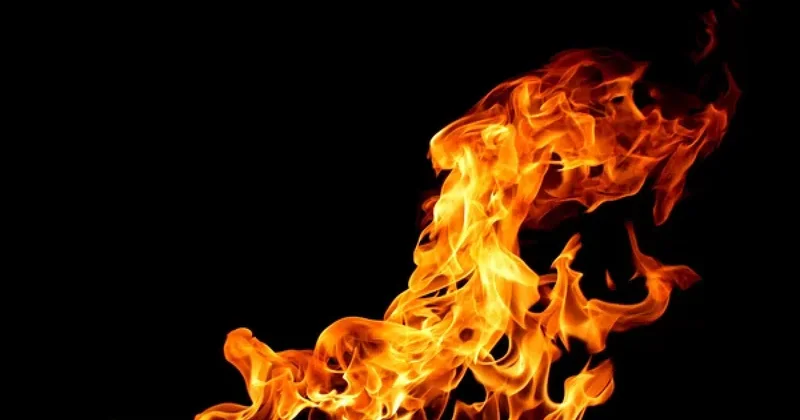 Крупный пожар на территории садоводческого товарищества тушат в Алматы