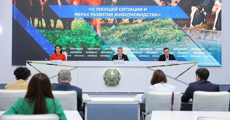 Казахстан нарастил объем валовой продукции животноводства до 3 трлн тенге