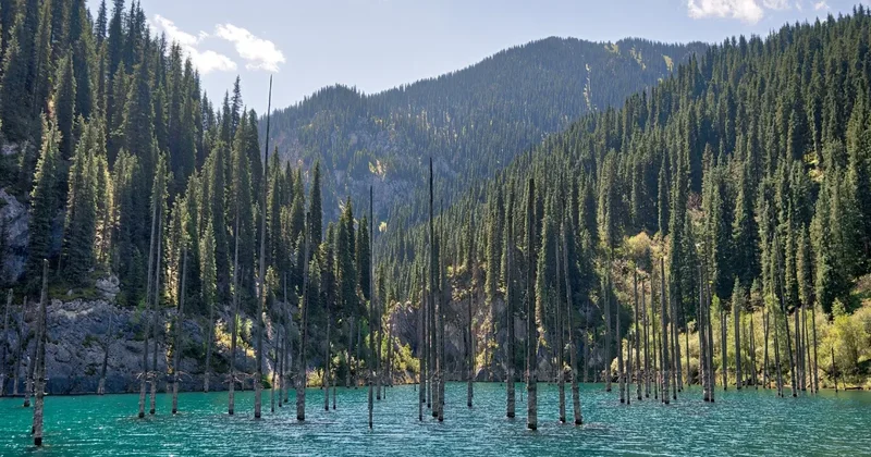 За какими впечатлениями туристы едут в Казахстан исследование