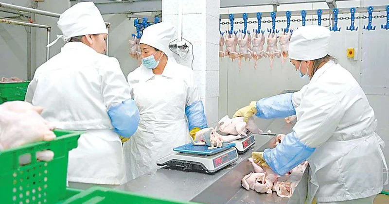 Лук, свекла и колбаса