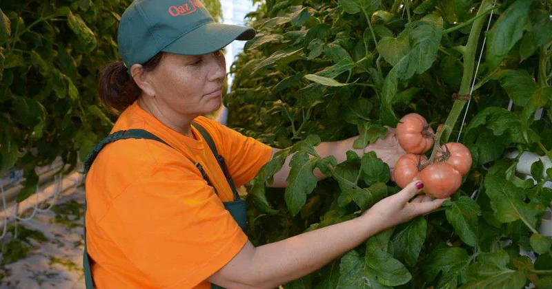 Предпраздничное подорожание отменяется