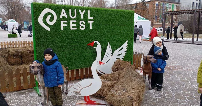 Фестиваль Новогодний гусь открылся в Петропавловске