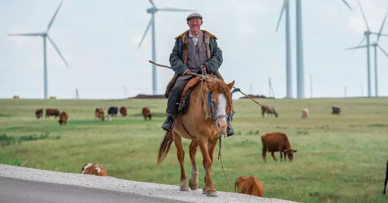 Қойшылар мен бақташылардың зейнет жасы төмендетіледі құжат жобасы мақұлданды