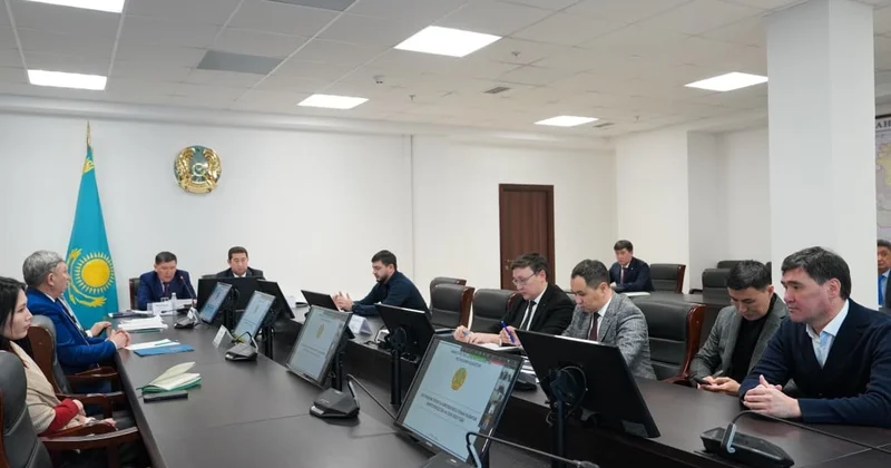 Ірі қара мал етіне қатысты жаңа шектеулердің қолданылу тәртібі қандай