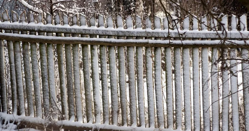 Сосед перекрыл солнечный свет жителю СКО и оказался в суде