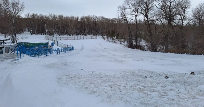 Всыпали за непослушание