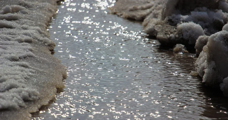 В реку слили кислоту?