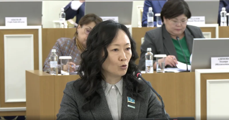 В Казахстане предлагают закрепить в Конституции понятие “волонтерство”