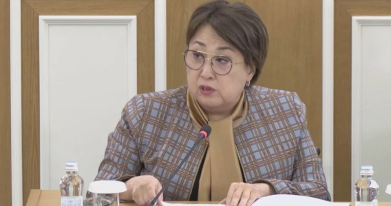 Жаңа Конституция жобасы мүмкіндігі шектеулі жандардың құқығы мен тең мүмкіндіктерін қамтамасыз етуге бағытталған Ләззат Қалтаева