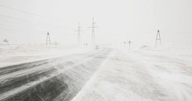 Бір апта ішінде 100 ге жуық адам қар құрсауынан құтқарылды