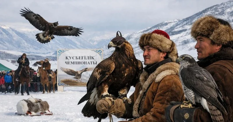 ШҚО да құсбегіліктен чемпионат өтіп жатыр