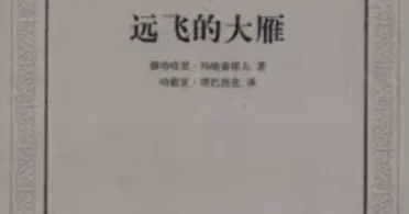 Ақиық ақынды шетел оқырманы қалай бағалайды?