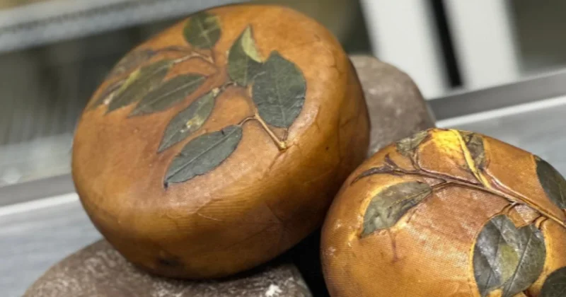 Сырных дел мастер